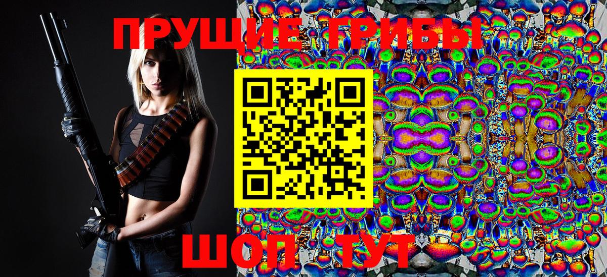 Псилоцибиновые грибы Psilocybine cubensis Ефремов