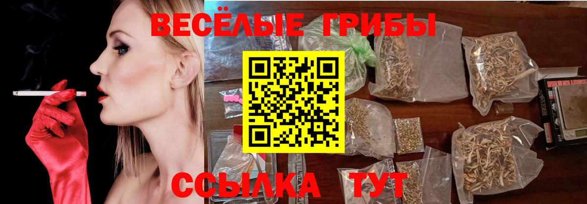 Ефремов  Псилоцибиновые грибы GOLDEN TEACHER  Вход с VPN 