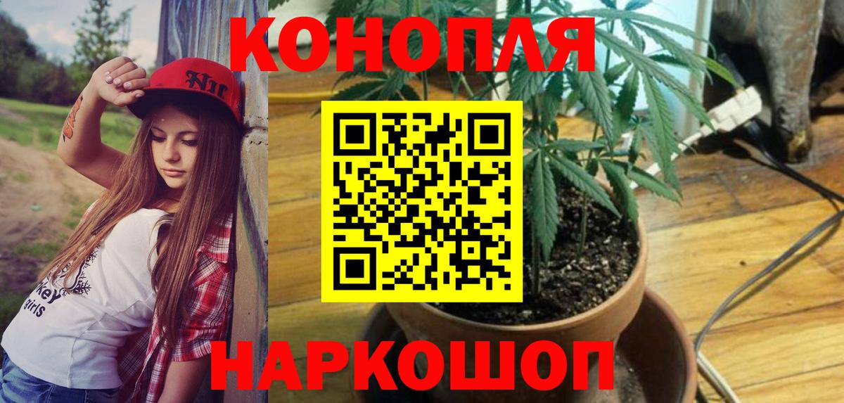 Ефремов  Конопля планчик  Вход с VPN  Бошки марихуана OG Kush  Марихуана индика 